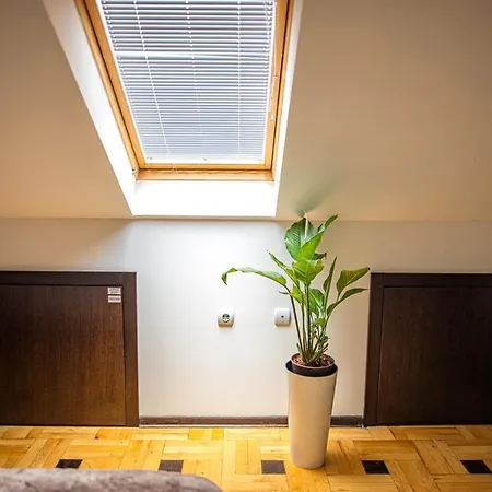 Pleasure Cair Apartments Ниш Экстерьер фото